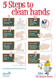 13 best healthy personal hygiene habits for children. Hygiene Resources Teaching Ideas