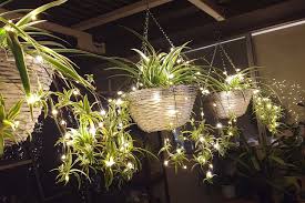 garden fairy lights bunnings iae news