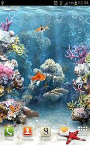 free live aquarium wallpaper s