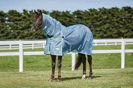 best horse covers horse rugs nz