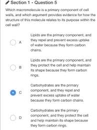 answered which macromolecule is a