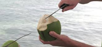 Cooking with zane how to #open a #coconut and make #coconutmilk! How To Open A Coconut Marx Foods Blog