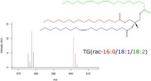 Modeling The Fragmentation Patterns Of Triacylglycerides In