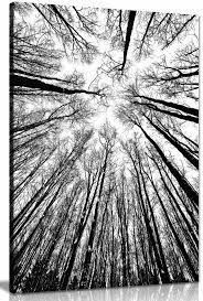 Trees Canvas Wall Art Picture Print