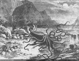 study giant squid grow larger than buses