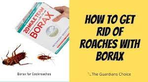 roach control with borax effective