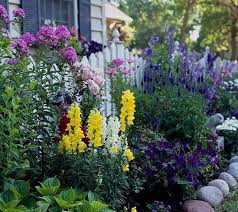 Landscaping Your Front Yard