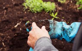 prepping your soil for spring planting
