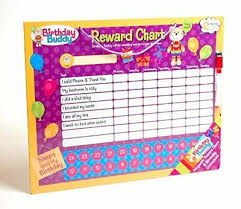 Birthday Buddy Magnetic Reward Chart And Birthday Countdown With Dry Wipe Pen 5053482300095 Ebay