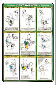 Arm Workout Fitness Chart F7