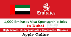 Image result for Dubai-UAE Driver Job And Visa Circular 2023