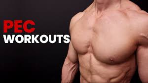 pec workouts ultimate guide to pec