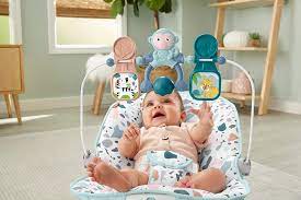 Fisher Baby S Bouncer 0 Www