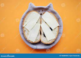 Sandwichbrot Und -butter in Einer Platte in Form Der Mündung Einer Katze  Auf Orange Hintergrund Stockfoto - Bild von mündung, teller: 136685928