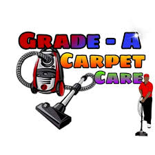 the 10 best carpet cleaning services in