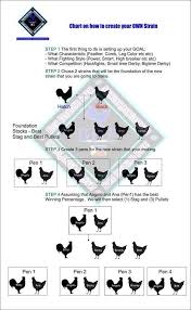 Genetics Breeding Chart Chicken Breeds Chart Rooster