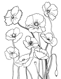 Free Poppy Coloring Page Home Furniture Poppy Coloring Page