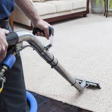 rug general cleaning adelaide sa