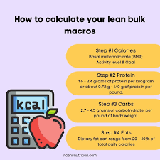macros for lean bulk how to gain
