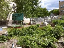 sna community green spaces and