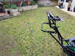 If you don't have the time for aeration then you can hire a professional lawn care service to do the job for you. Our Services Premier Lawns Wa