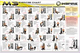 bodybuilding exercises chart free syhdua fresh exercise chart bodybuilding enhance of bodybuilding exercises chart free