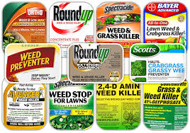 Roundup's patented fastact technology makes it so that you should see some results within about 12 hours. 2019 What S The Best Weed Killer For Lawns Will They Work