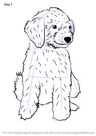 Find over 100+ of the best free golden doodle images. If I Got The Outline Of A Dog Tattoo I D Make It Shaggy Like My Dogs Puppy Coloring Pages Labradoodle Drawing Drawings
