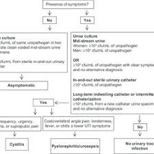 Flow Chart For The Diagnosis Of Urinary Tract Infection In