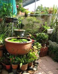 Tropical Garden Container