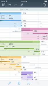 Project Office Gantt Chart For Iphone Download