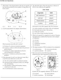 Cell Review Questions