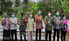 Pelatihan bawang merah oleh bi prov kaltara : Kabupaten Bengkayang Didorong Jadi Sentra Bawang Merah Di Kalimantan Barat
