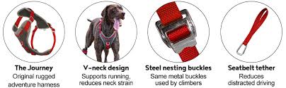 Kurgo Dog Harness For Large Medium Small Active Dogs Pet Hiking Harness For Running Walking Everyday Harnesses For Pets Reflective