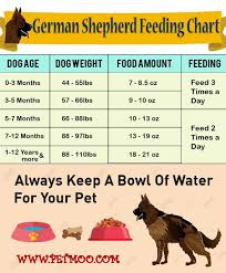 german shepherd food chart 51