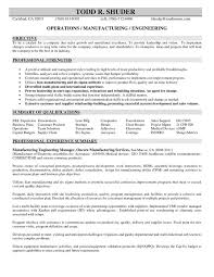 CV Resume   Shay Ginsbourg   Regulatory   Testing Affairs Consultant     Sample and Example Resume Before