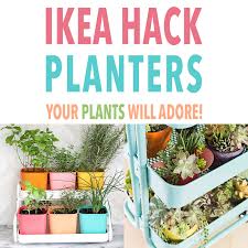 ikea planters your plants will