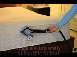 Bed Bugs With Steam Cleaning