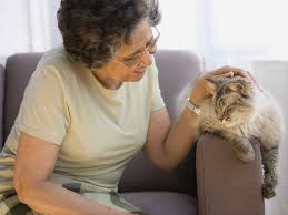 Leslie kuczynski, vmd, dacvim why is my cat so thirsty? prahl, guptill,glickman, tetrick, and glickman. Your Older Cat Drinks A Lot Of Water And Other Reasons To See The Vet