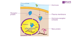 gene regulation an overview of gene