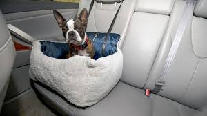 5 Best Dog Car Seats Tested 2023 Guide