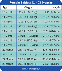 weight chart for kids sprint cal