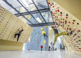 Walltopia S Climbing Gyms Break Records