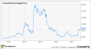 Does Puma Biotechnologys Approval Make It Worth More The