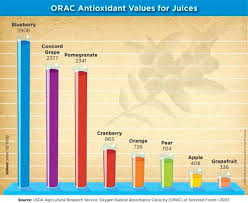 Blueberry Juice Tops The Orac Antioxidant Chart Wild
