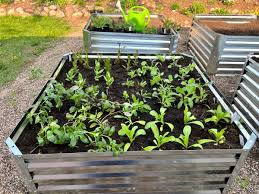 how to fill raised garden beds the