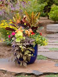 How To Plant A Container Garden In 6