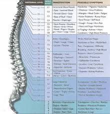 Spinal Nerve Chart And Symptoms Gesondheid Spinal Nerve