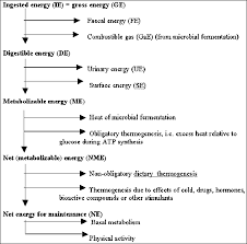 Energy Conversion Factors