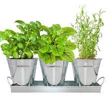 Environet Herb Garden Kit Complete Herb
